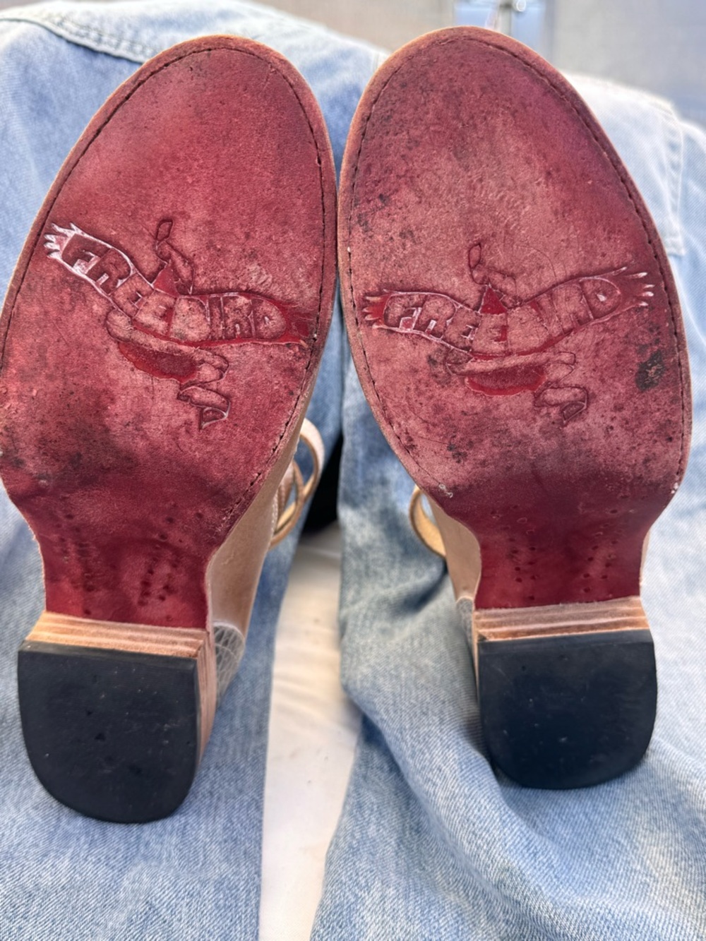 Freebird  MARTINA TOUPE Ankle shoes - Picture 13 of 13